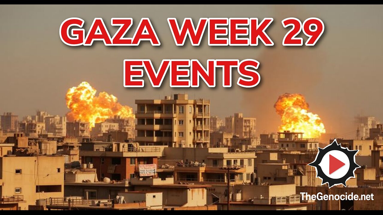 Gaza Week 29 Events Compilation