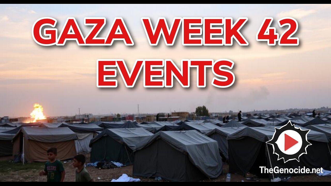 Gaza Week 42 Events Compilation