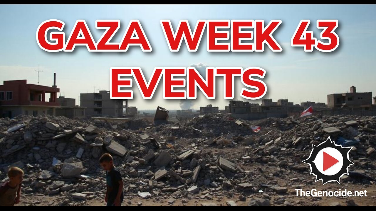 Gaza Week 43 Events Compilation